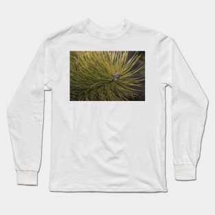 Pine Long Sleeve T-Shirt